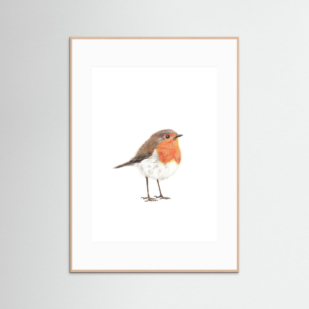 Robin Art Print Wildlife Wall Art for Nature Lovers