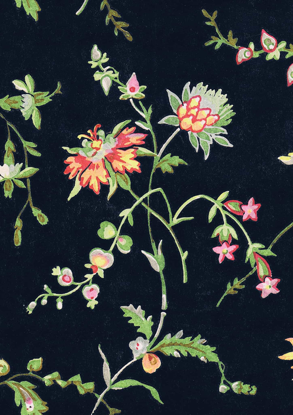 Midnight Blooms Vintage Botanical Poster Print