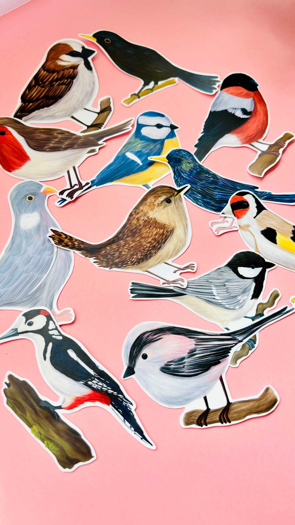 Garden Birds 10cm Vinyl Stickers Nature Inspired Waterproof Decals