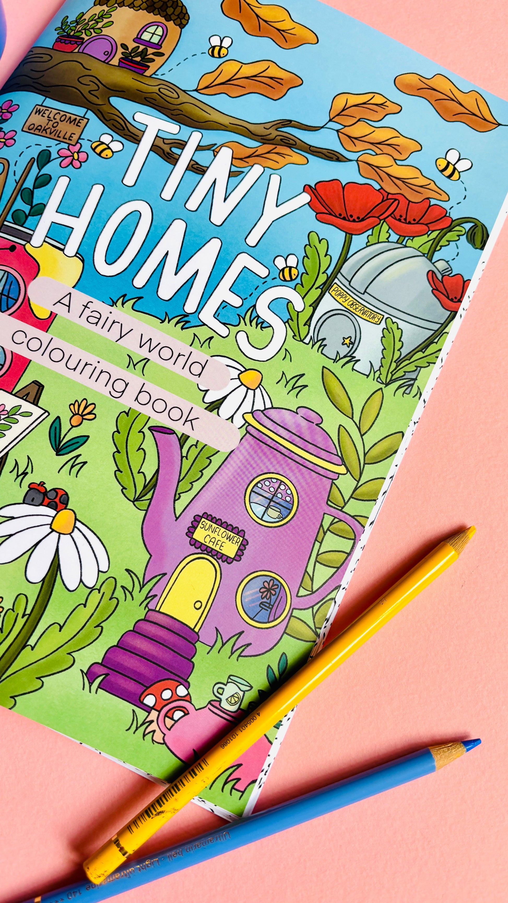 Fairy Tiny Homes Fantasy Colouring Book for Adults and Kids