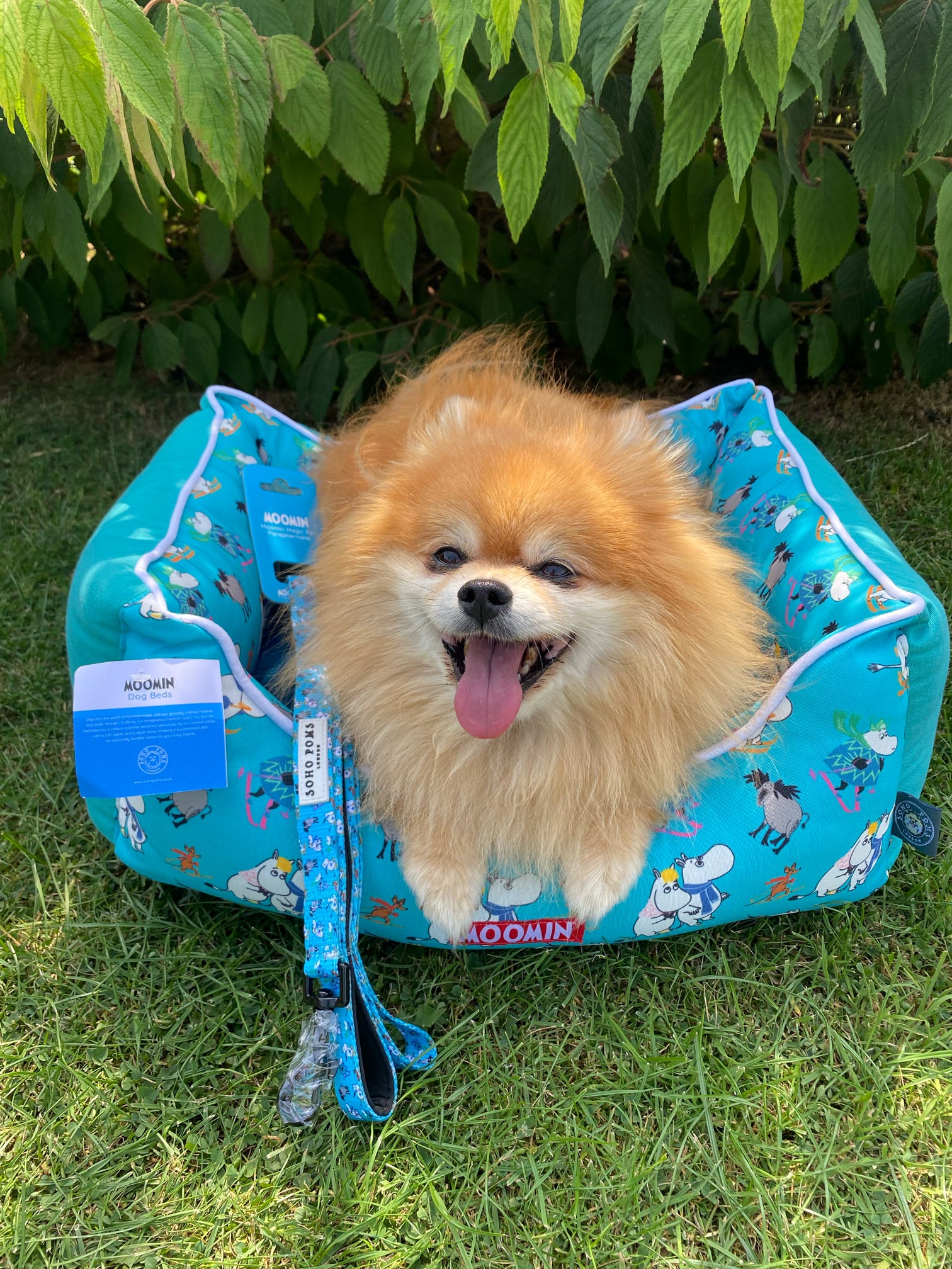 Moomins Blue Ski Holidays Pet Bed