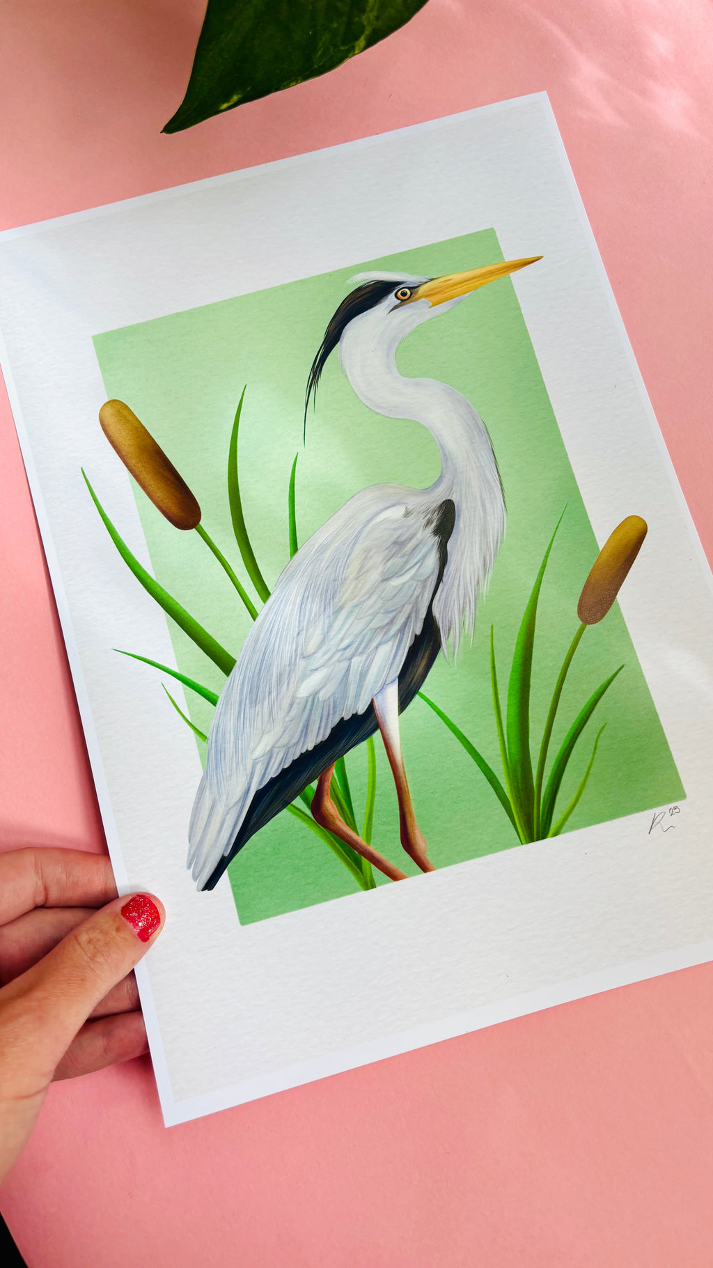 Grey Heron Wildlife Art Print in Multiple Sizes