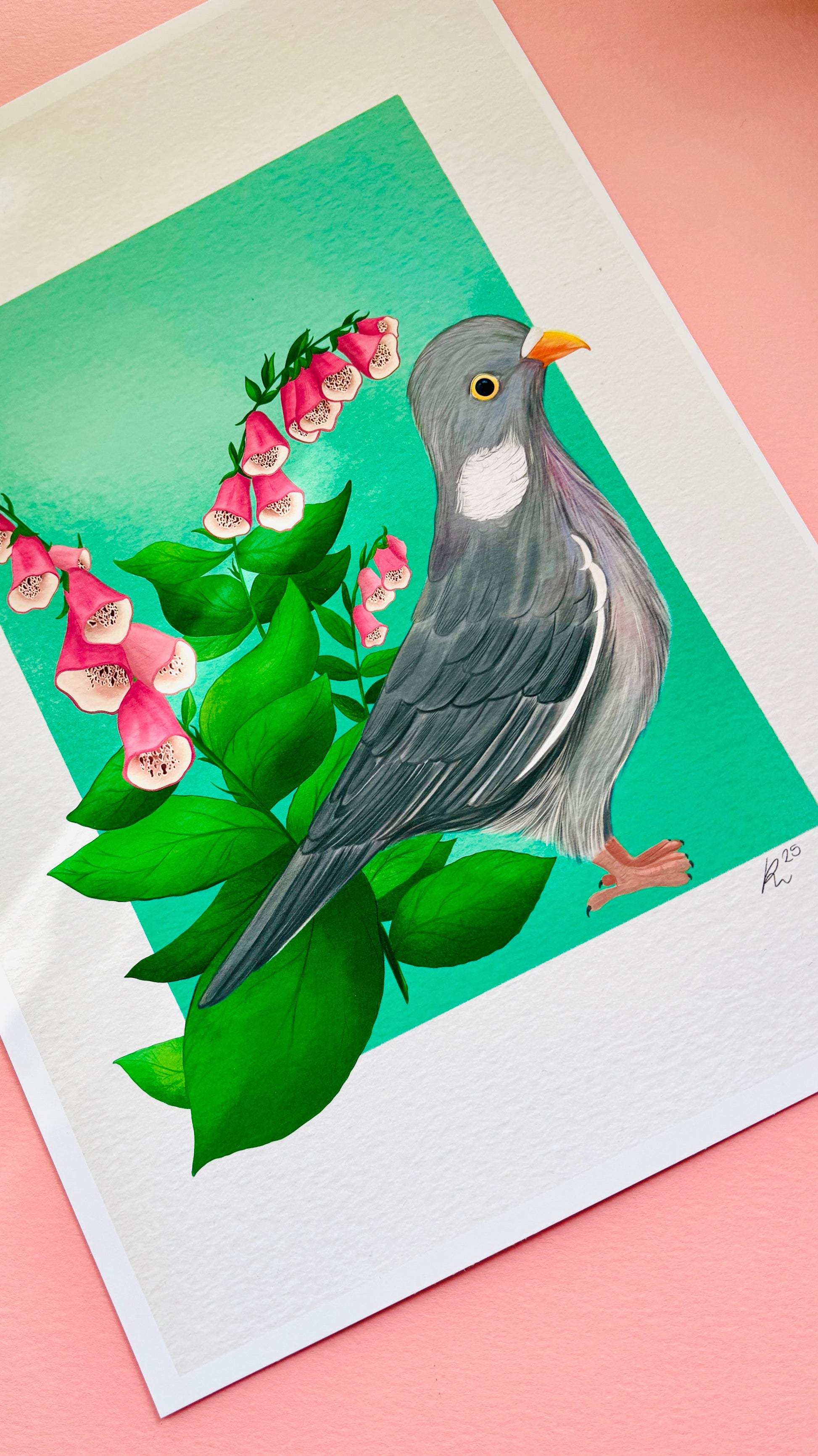 Wood Pigeon and Foxglove Art Print British Wildlife Illustration