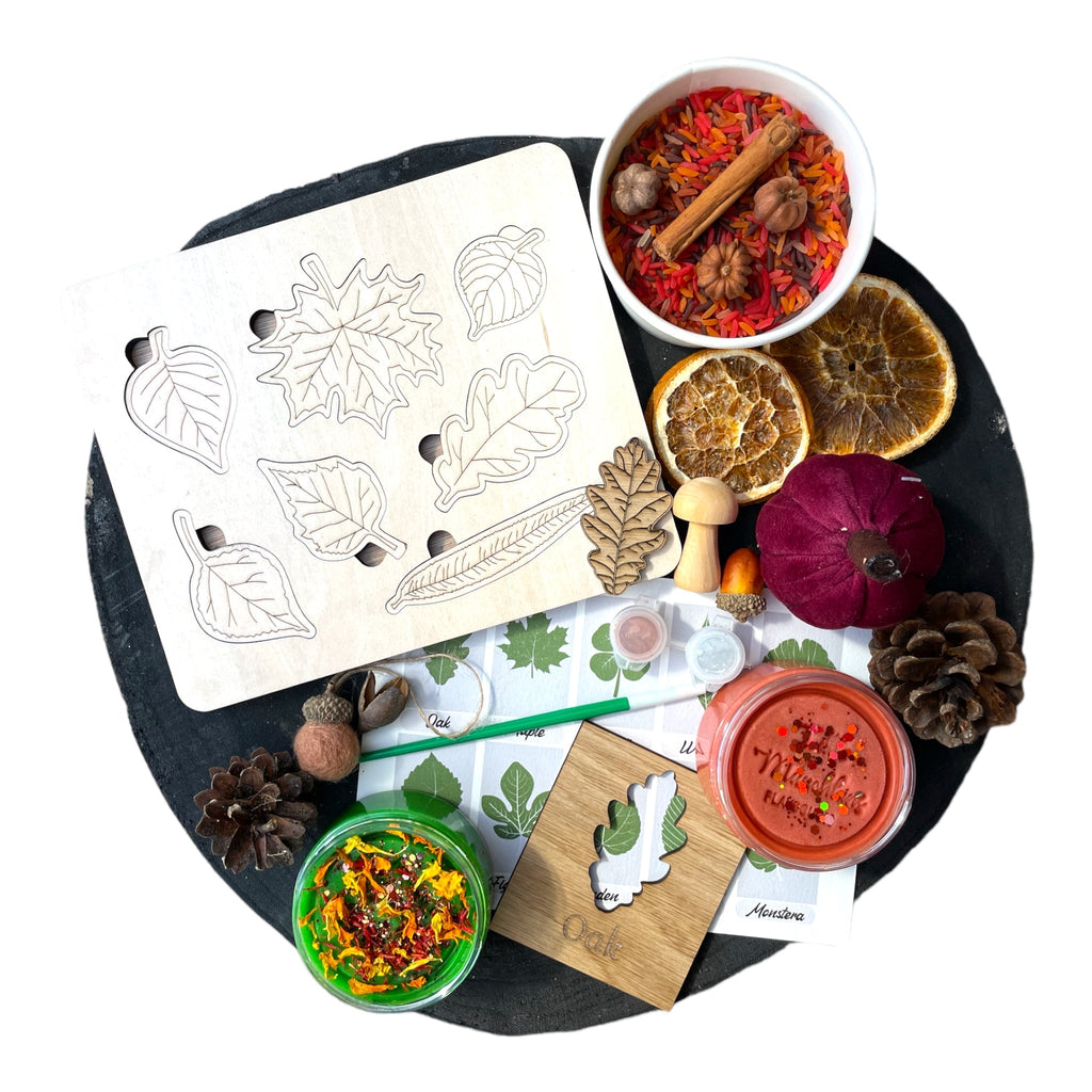 Monthly Subscription Sensory Box