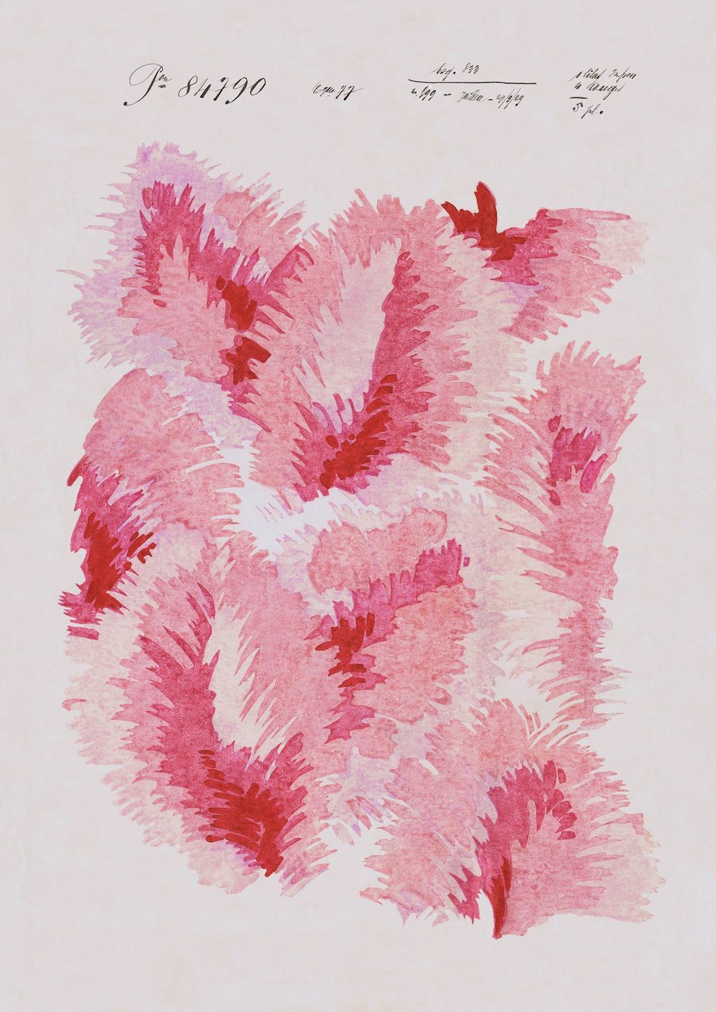 Venus Plumes Vintage Archive Poster Print