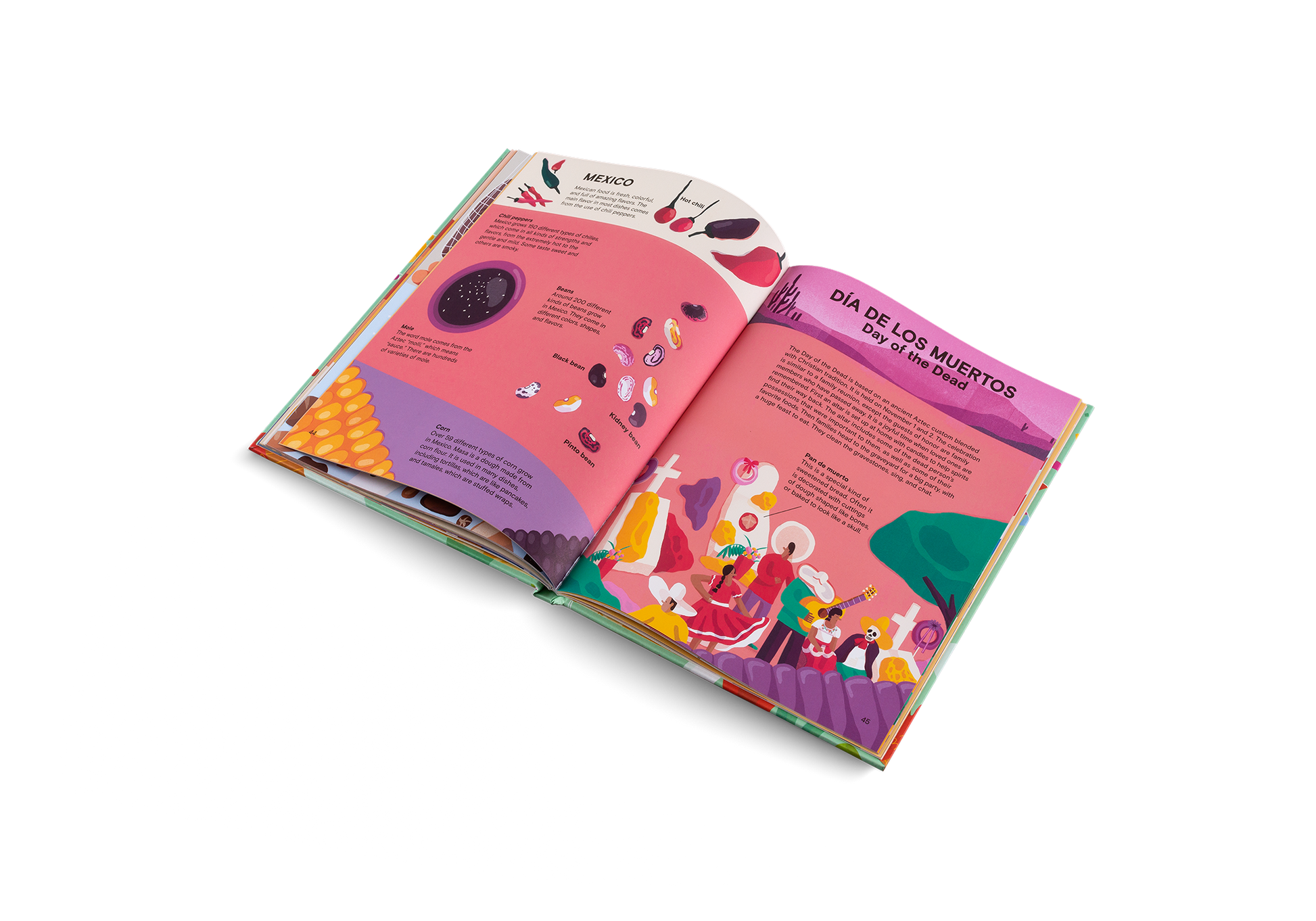 A Taste of the World New Edition