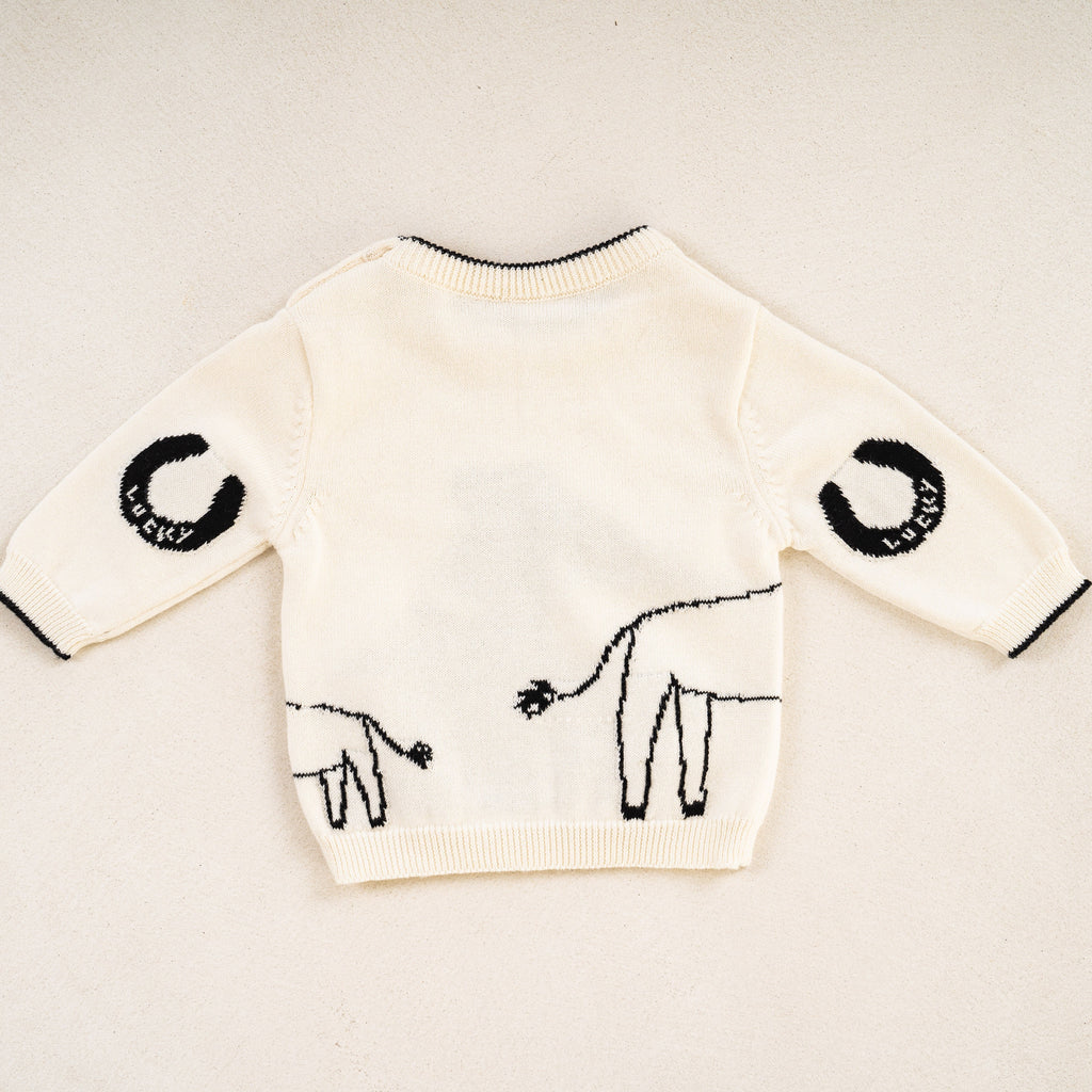 Horse Jumper