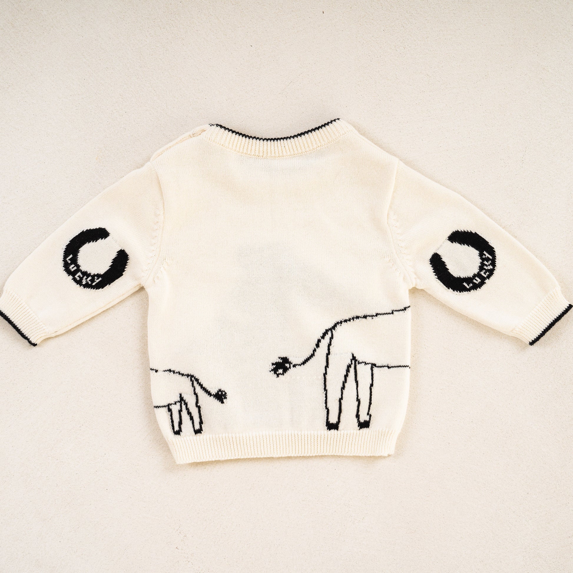 Horse Jumper