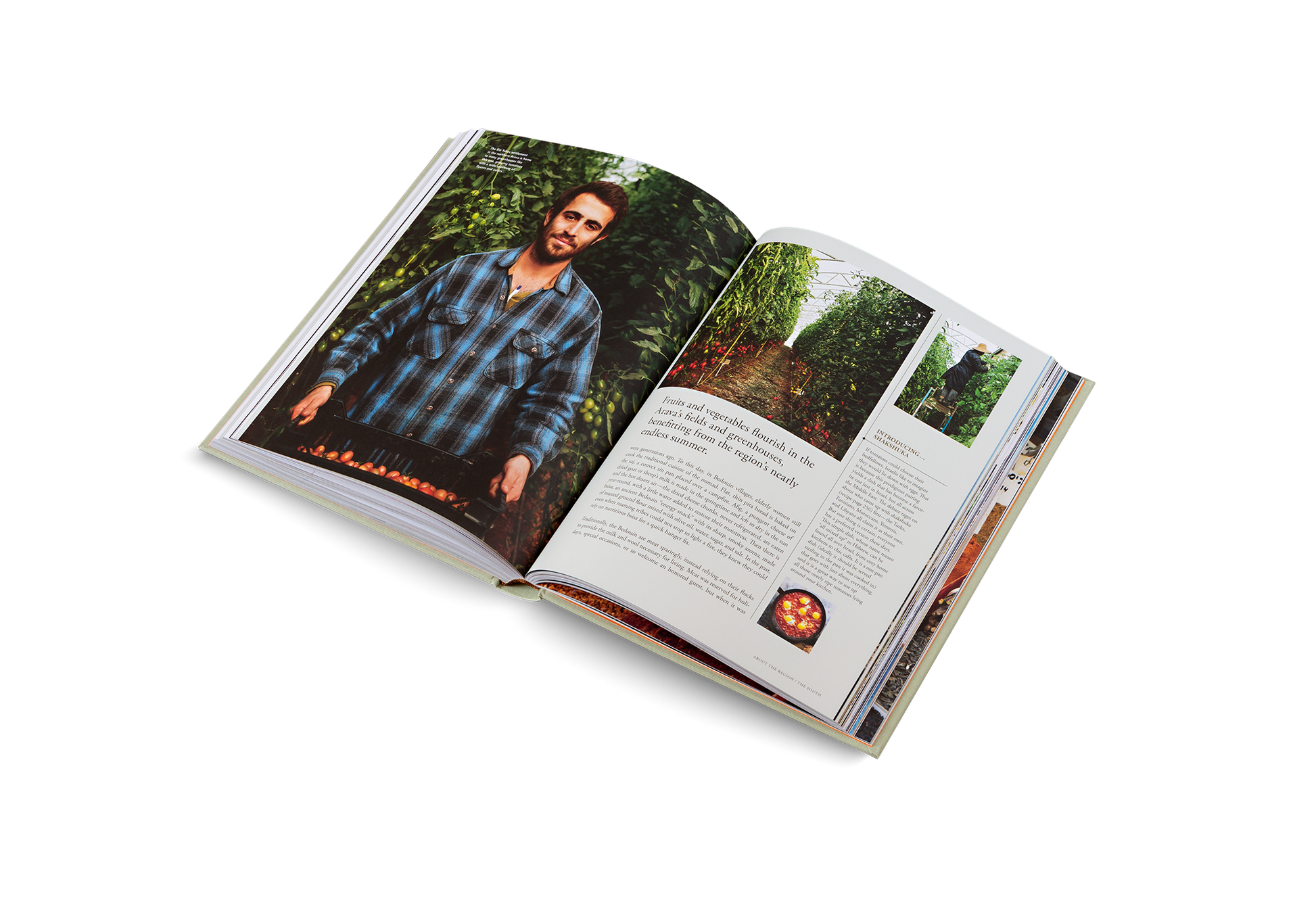 Israeli and Palestinian Food Culture and Recipes