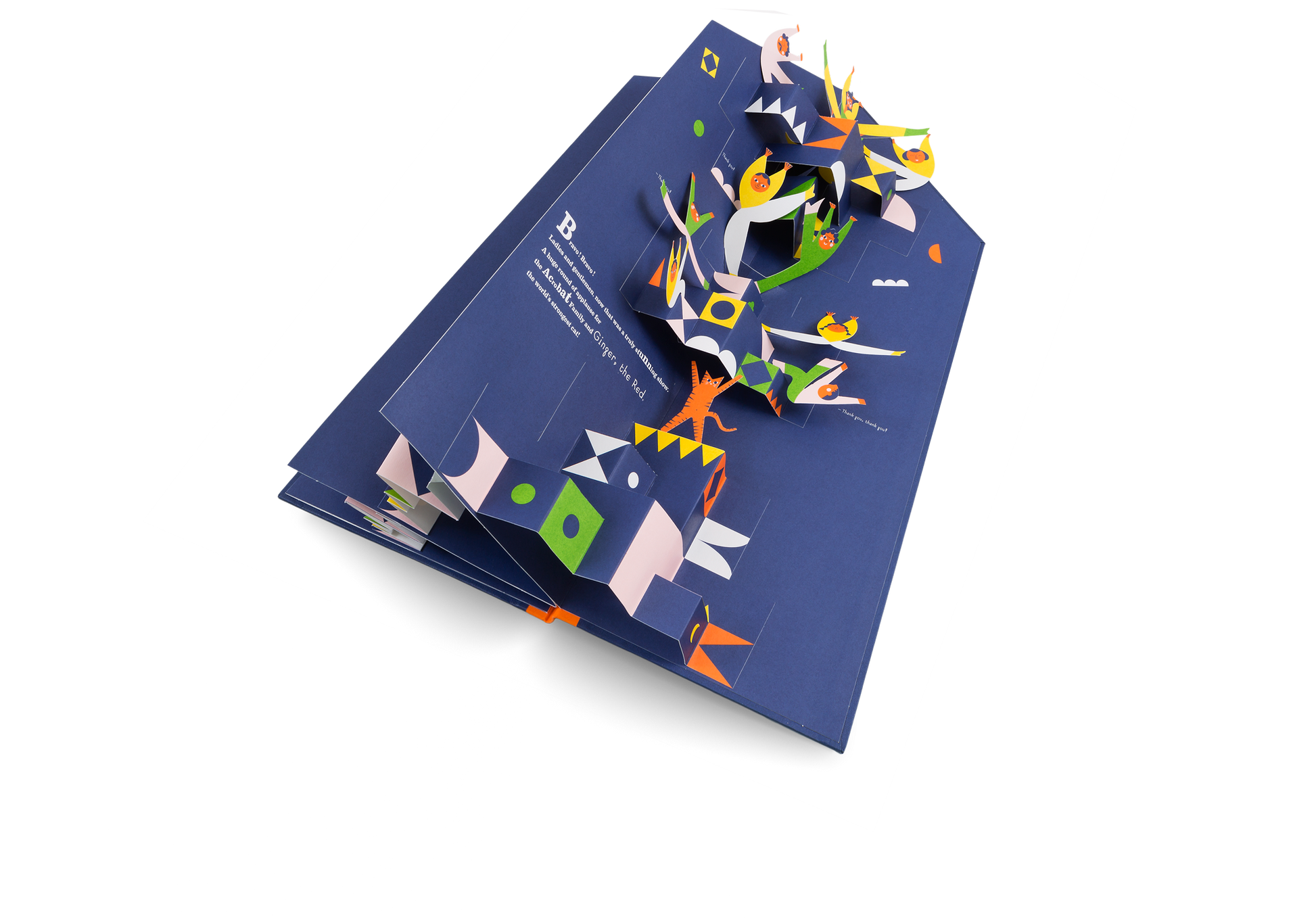 The Acrobat Family Collection