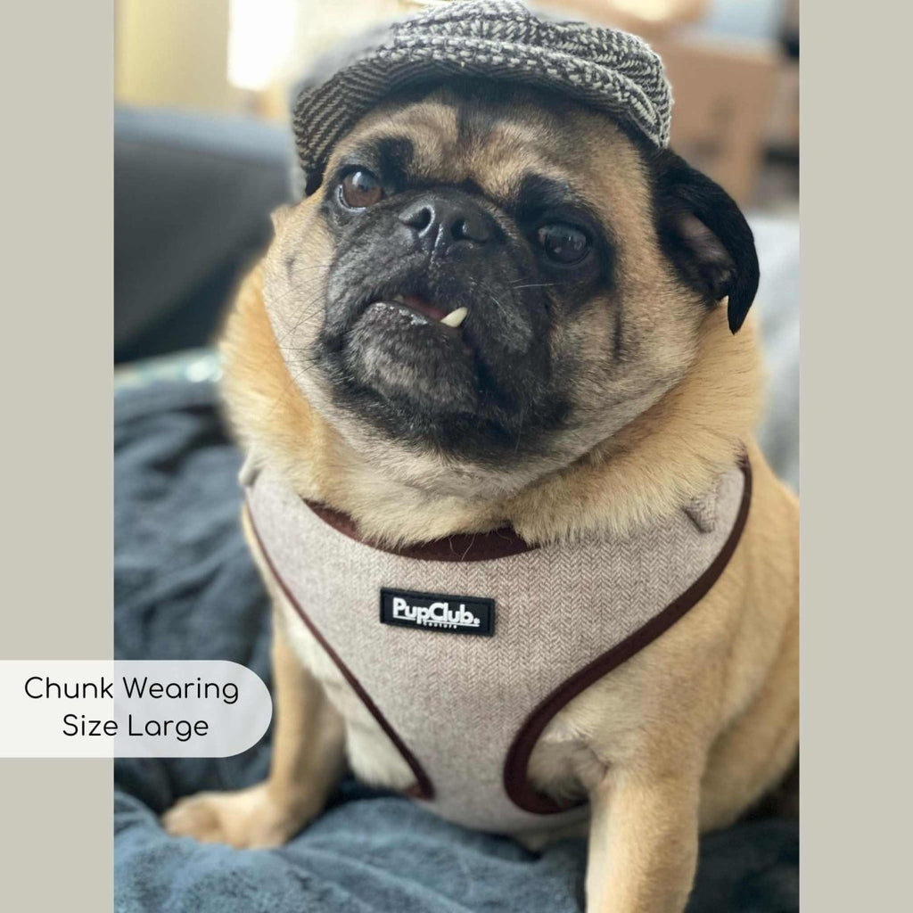 Tweed Adjustable Harness in Brown