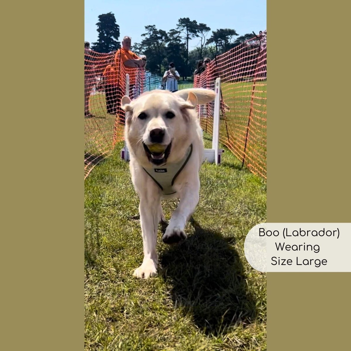 Tweed Adjustable Harness in Sage