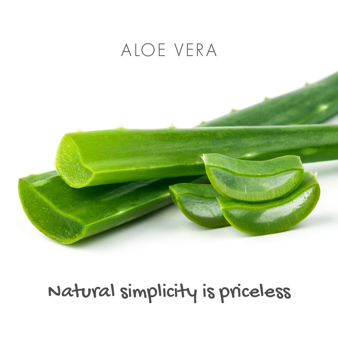 Aloe Vera Natural Soap Bar Fragrance Free for Sensitive Skin