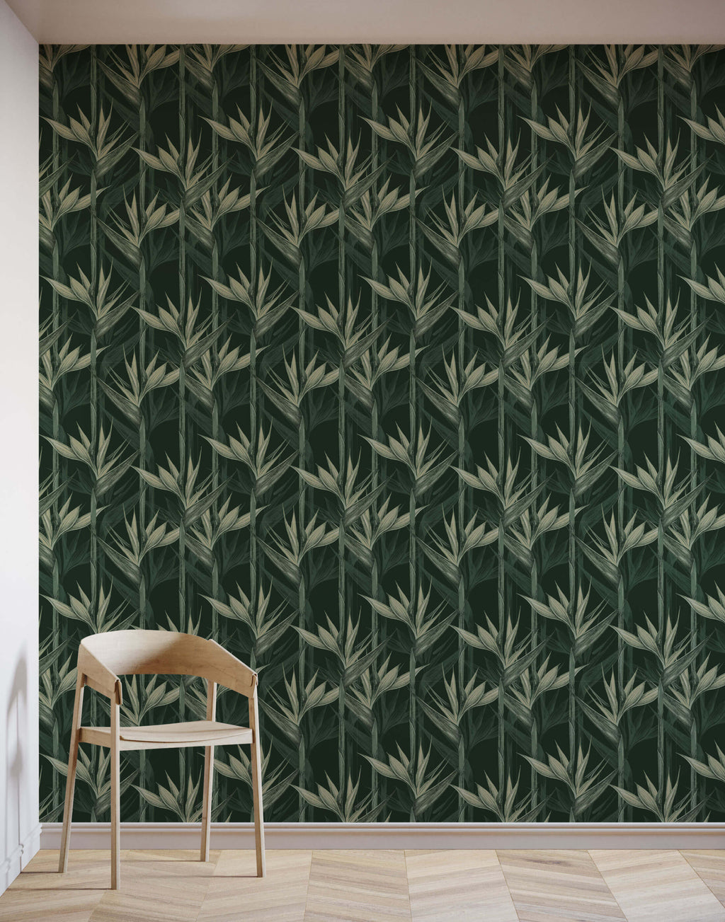 Bird of Paradise Wallpaper Amazonia