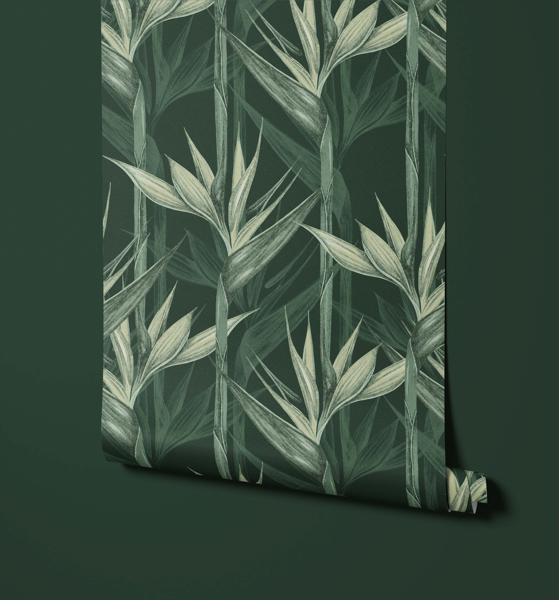 Bird of Paradise Wallpaper Amazonia