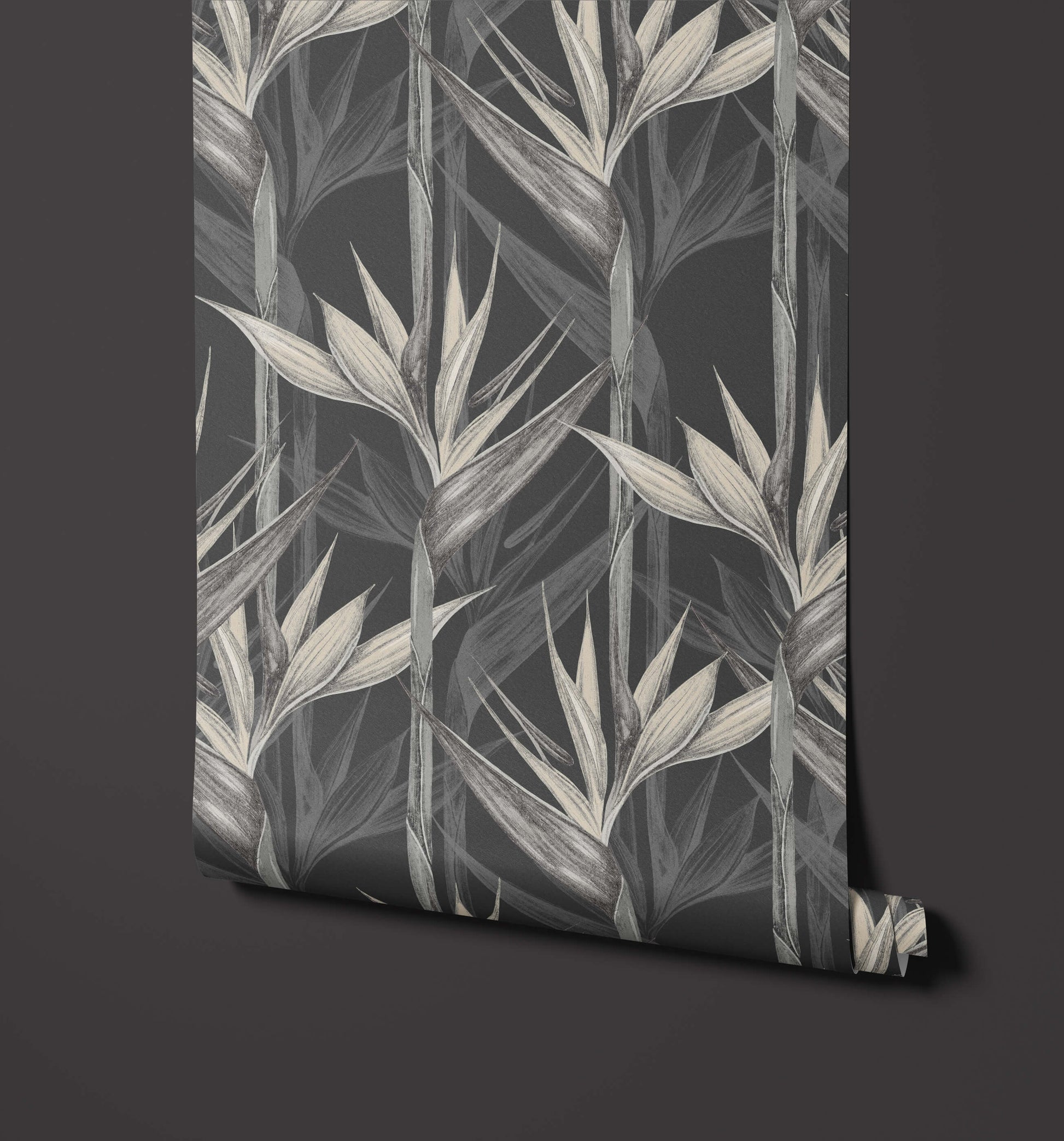 Bird of Paradise Wallpaper Amazonia