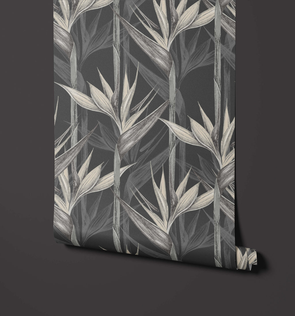 Bird of Paradise Wallpaper Amazonia