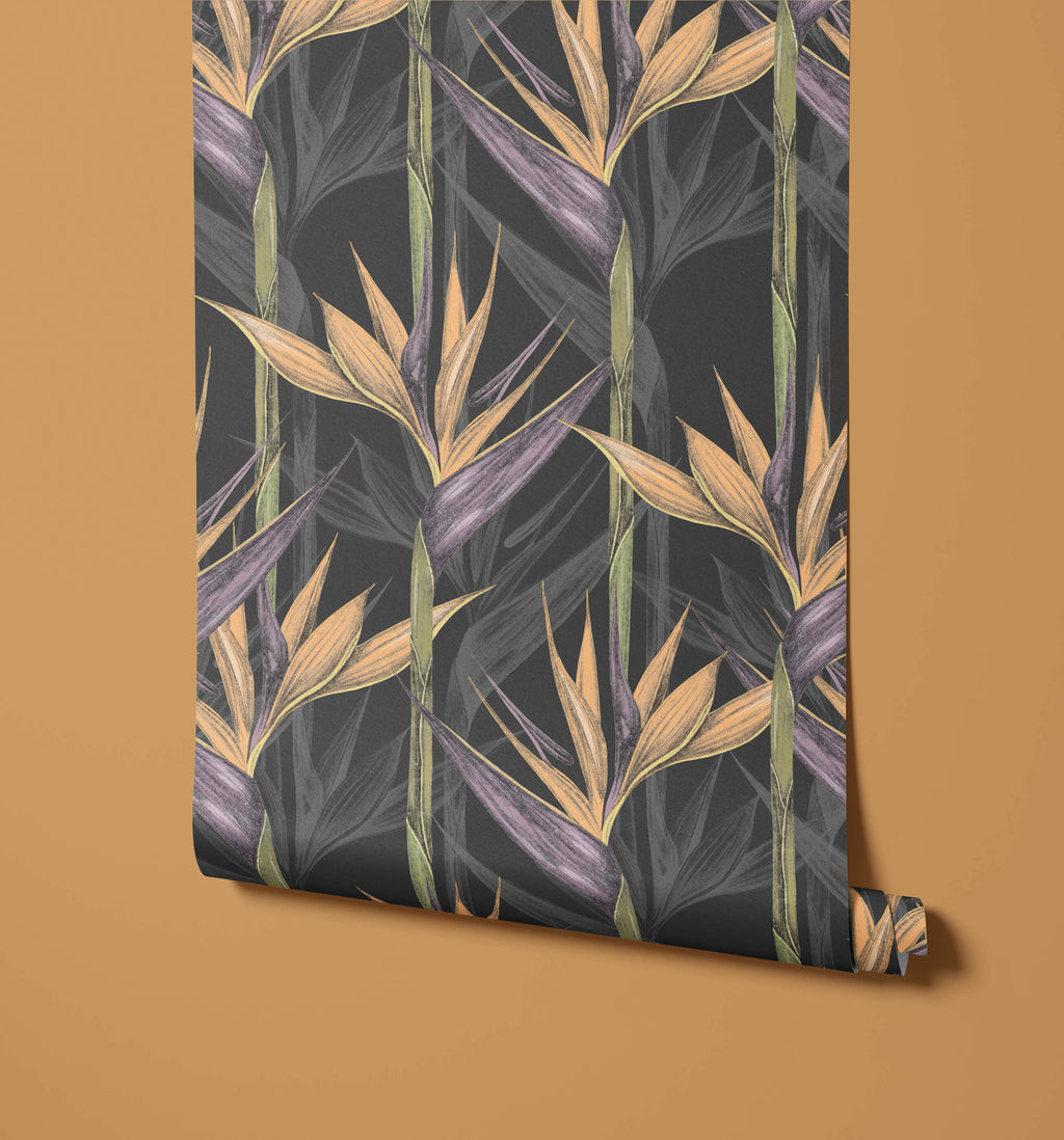 Bird of Paradise Wallpaper Amazonia