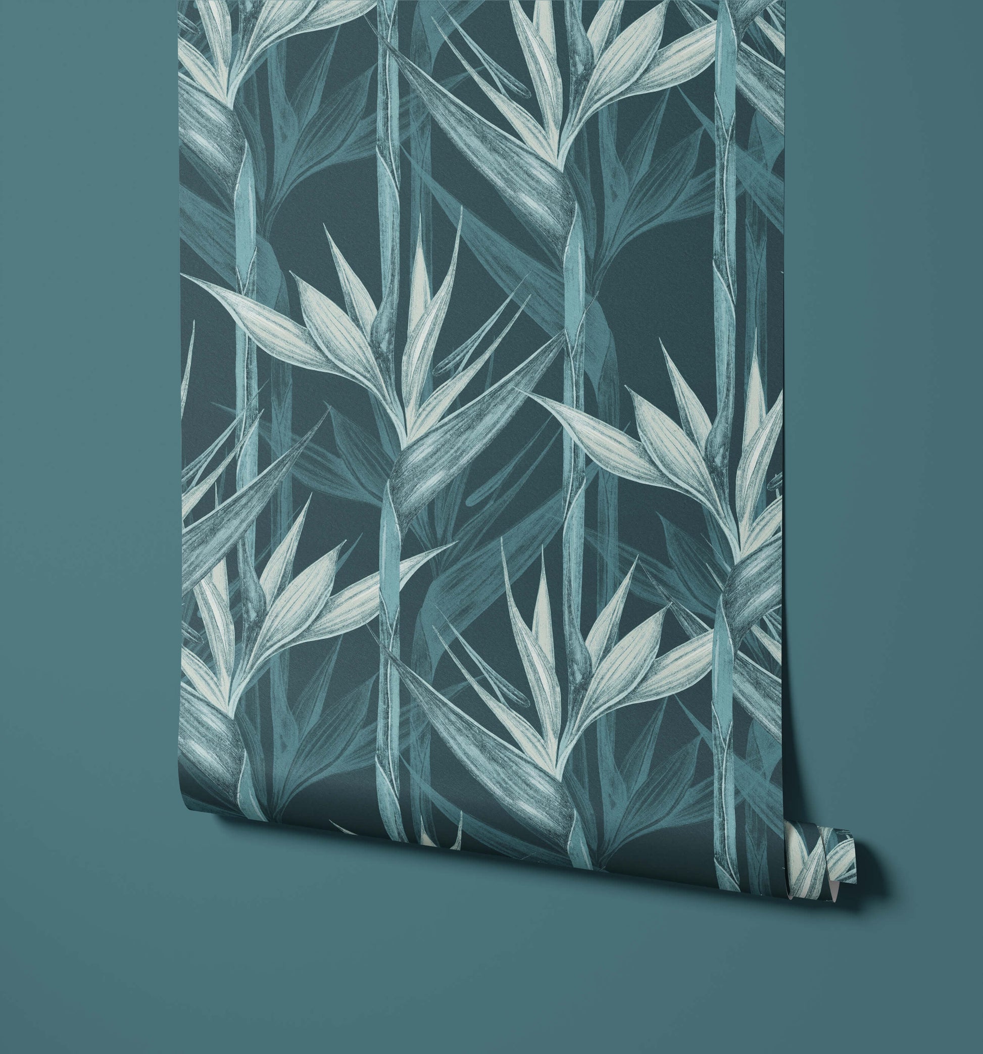 Bird of Paradise Wallpaper Amazonia