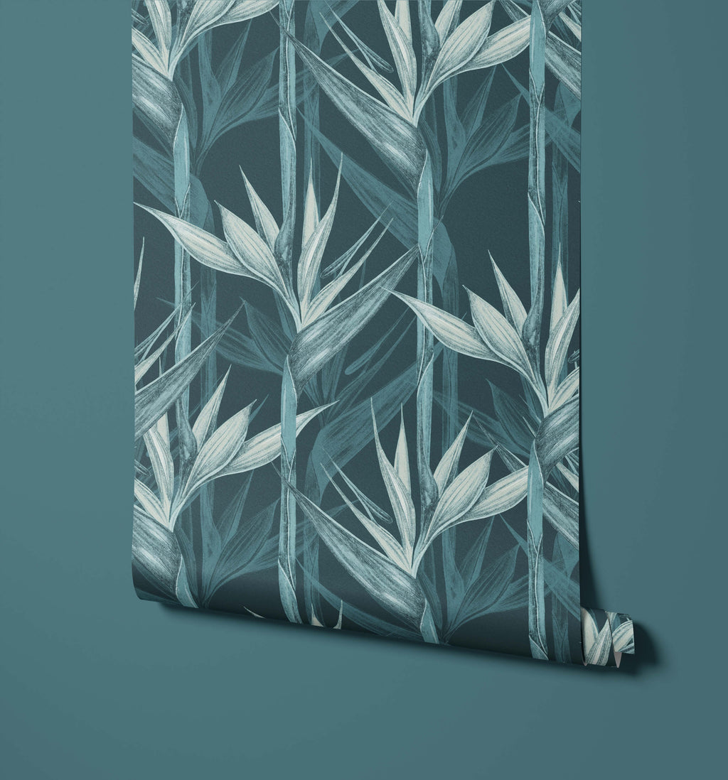 Bird of Paradise Wallpaper Amazonia