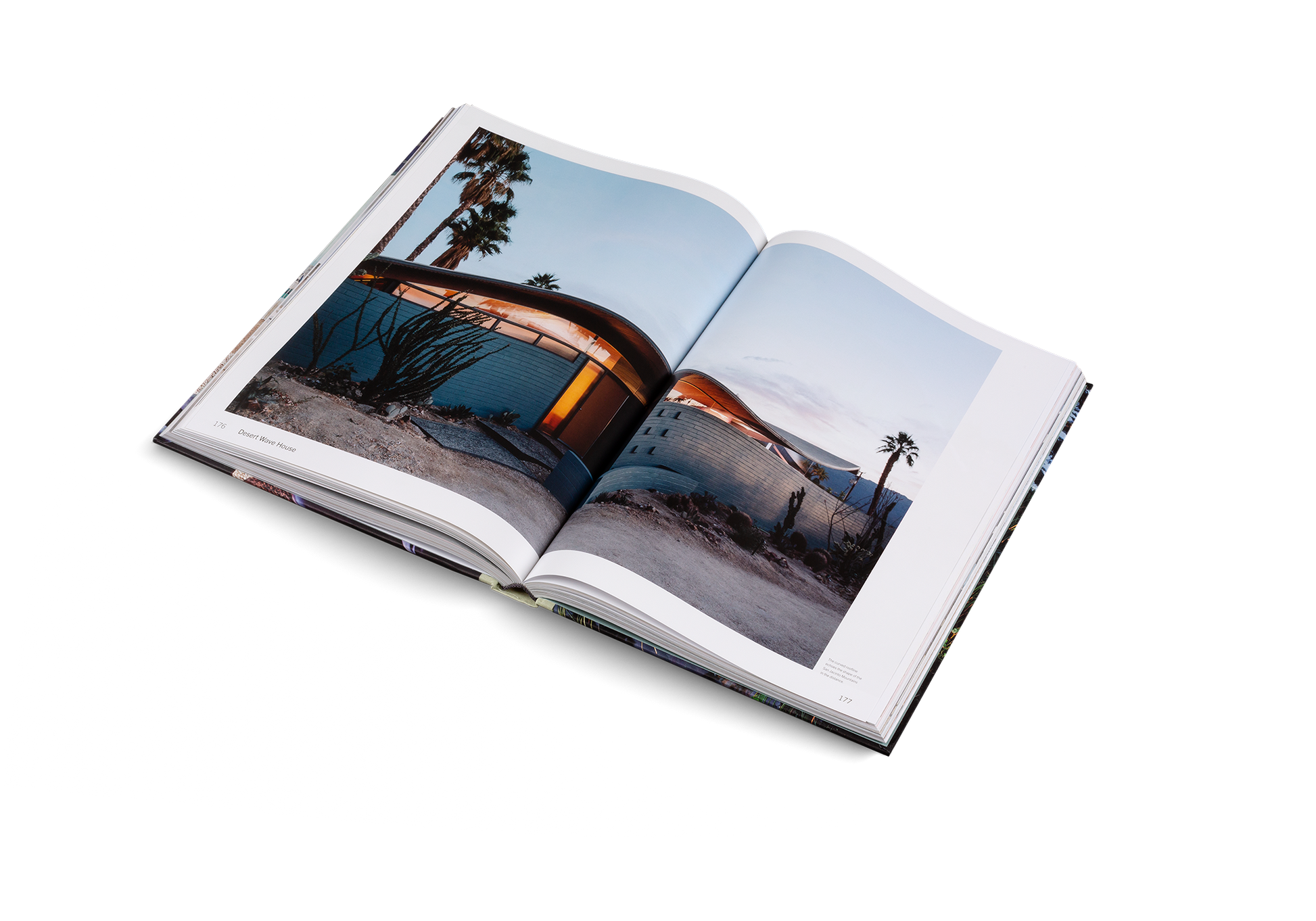 American Icons Architecture of the United States