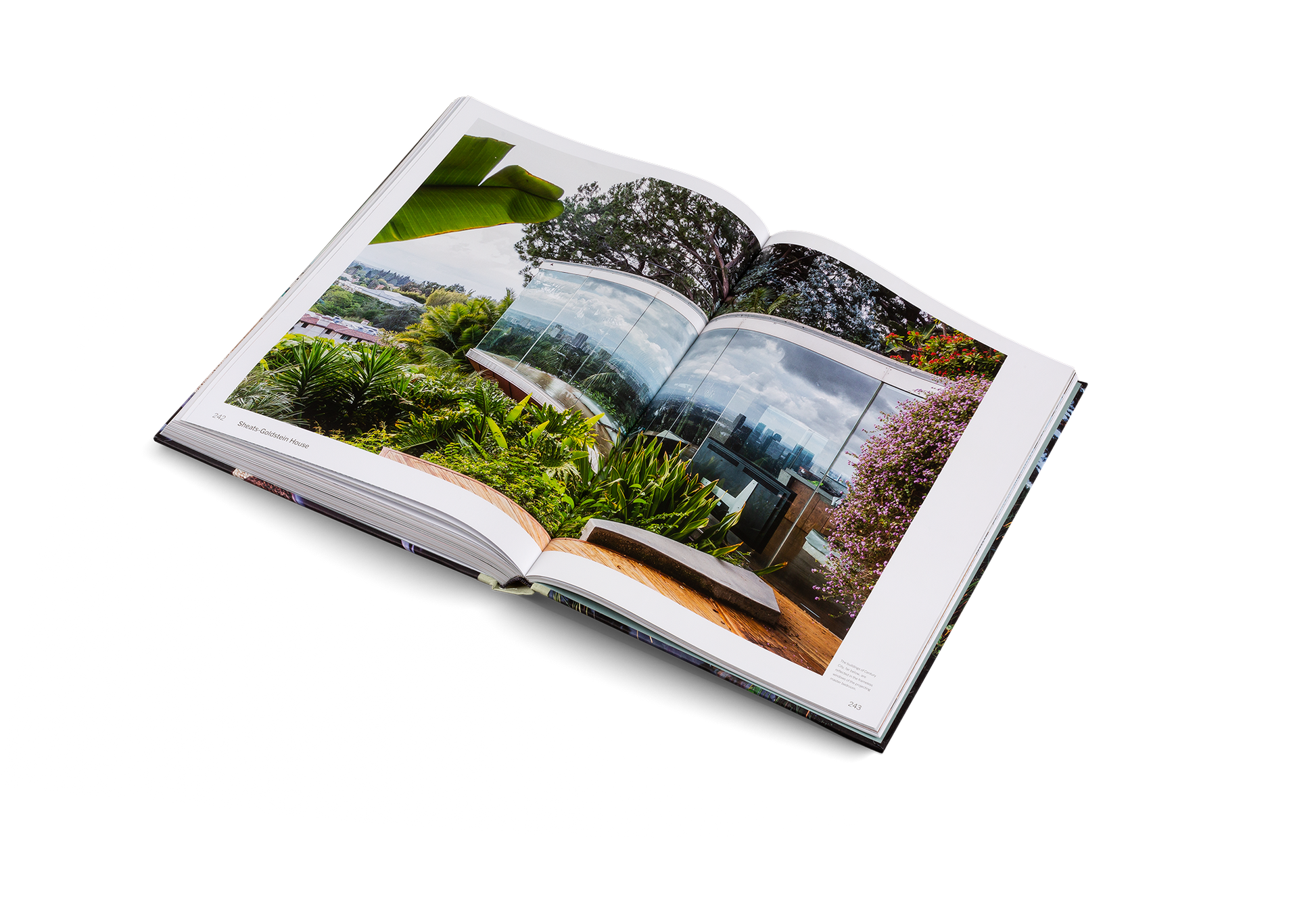 American Icons Architecture of the United States