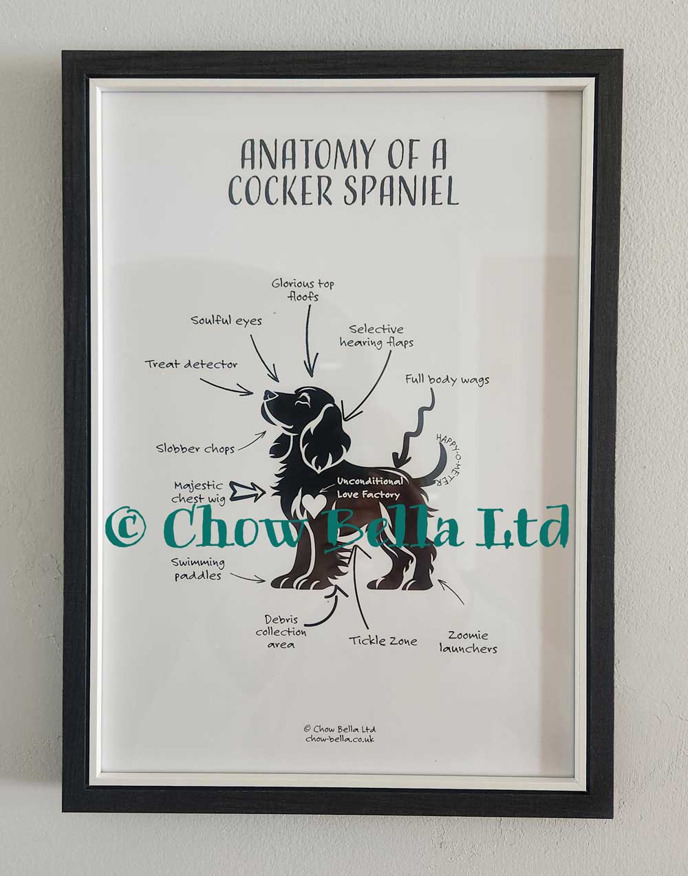 Anatomy of a Cocker Spaniel Print