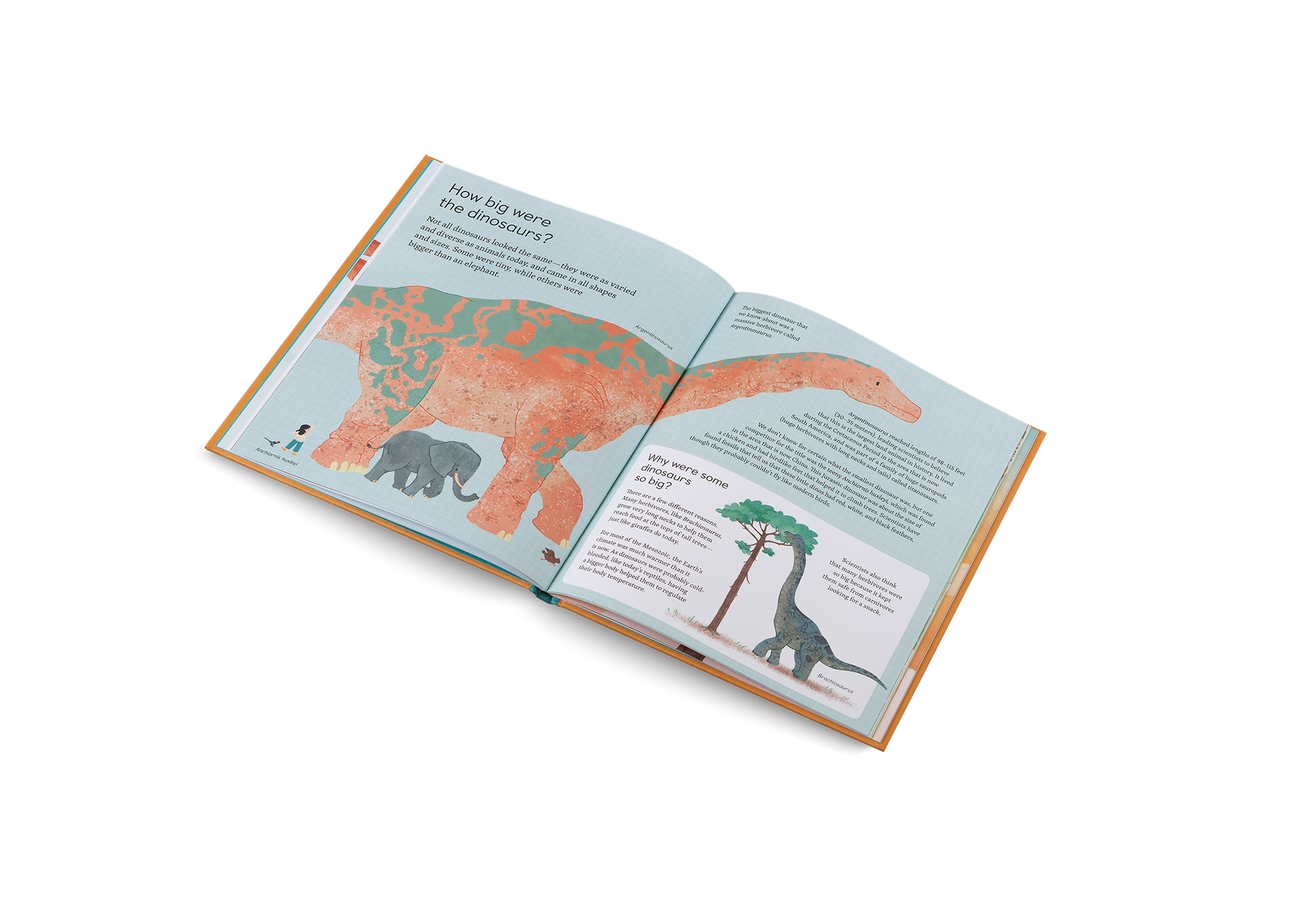 Ask Me About Dinosaurs Illustrated Question Book