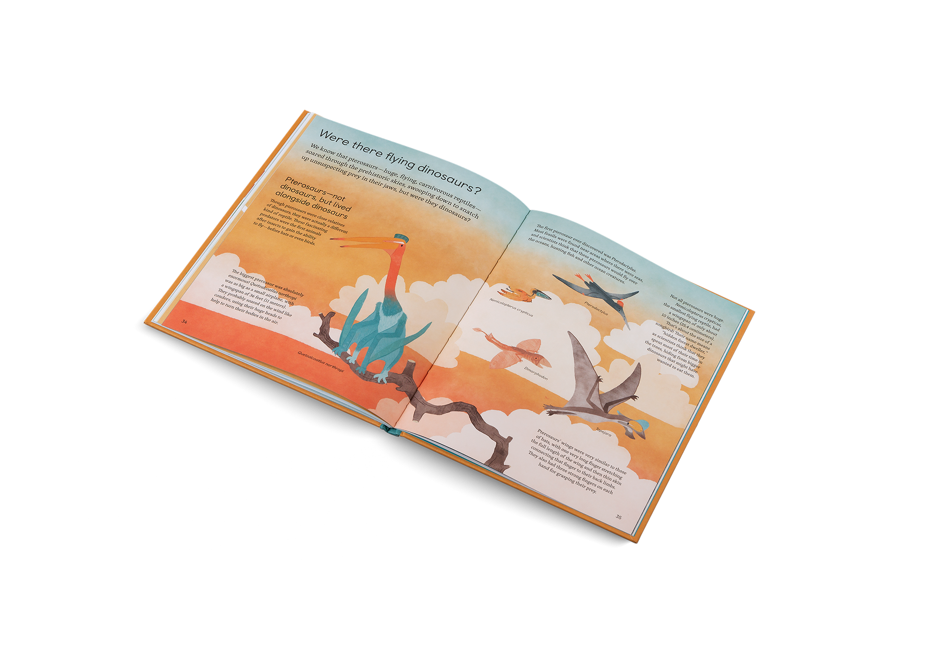 Ask Me About Dinosaurs Illustrated Question Book