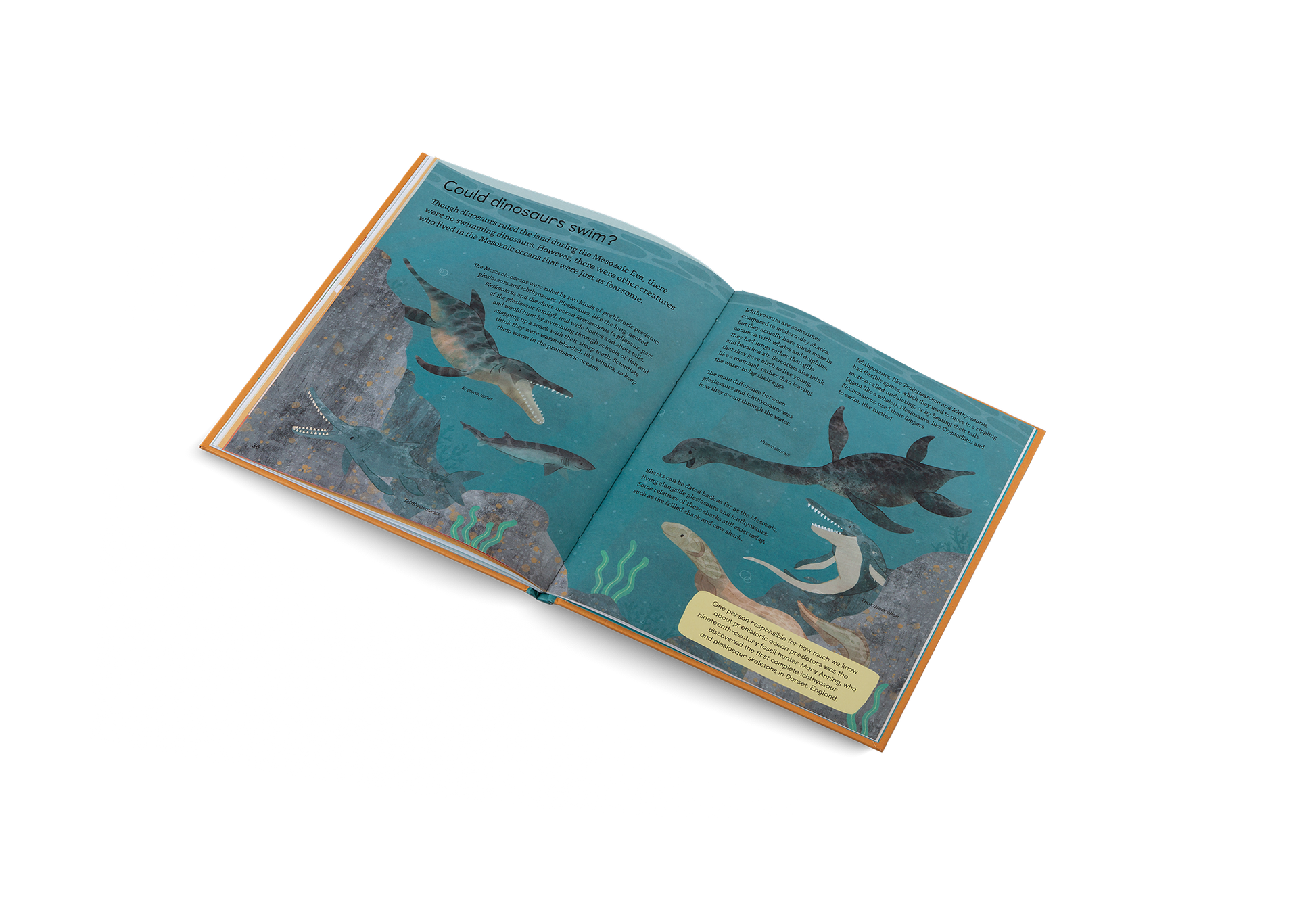 Ask Me About Dinosaurs Illustrated Question Book