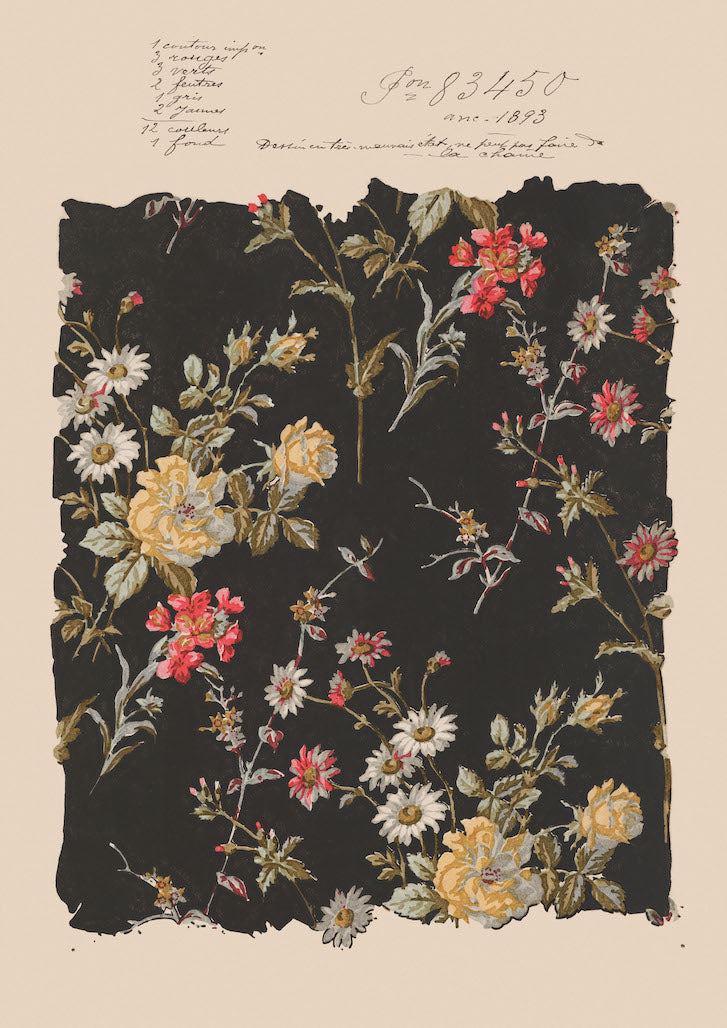 Avalon Alchemy Vintage Archive Poster Print