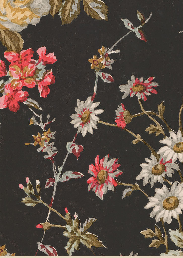 Avalon Alchemy Vintage Archive Poster Print