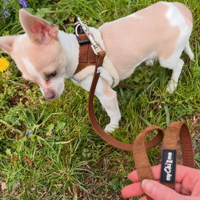 Step In Soft Touch Suede Faux Fur Lined Puppy and Small Dog Harness Mocha