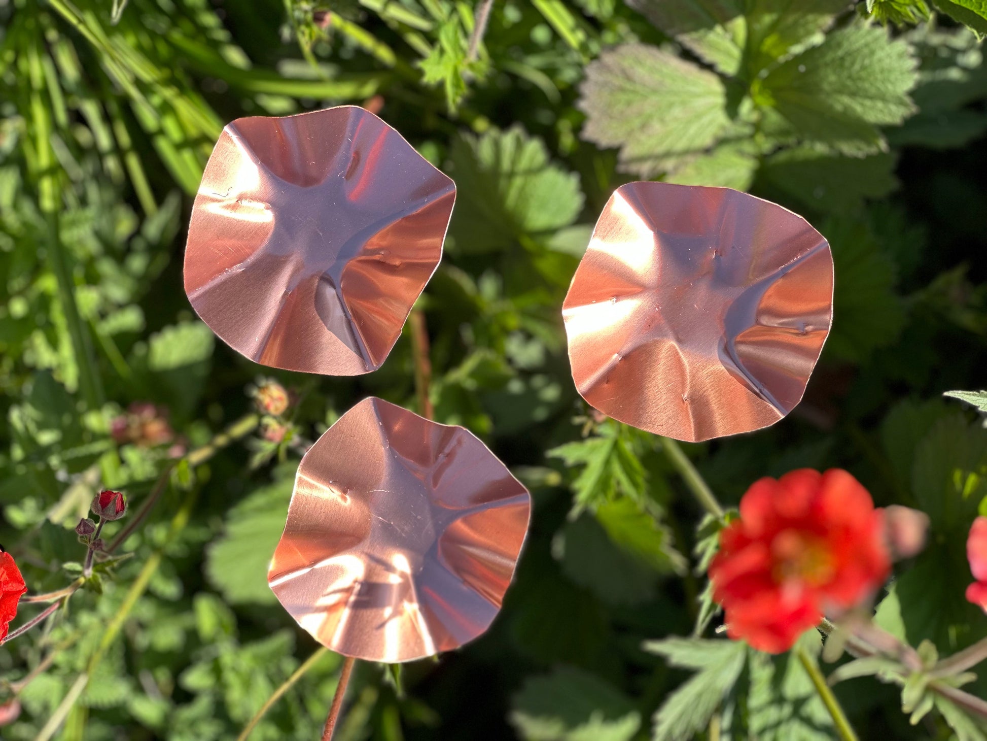 Set of 3 Copper Bee Drinkers