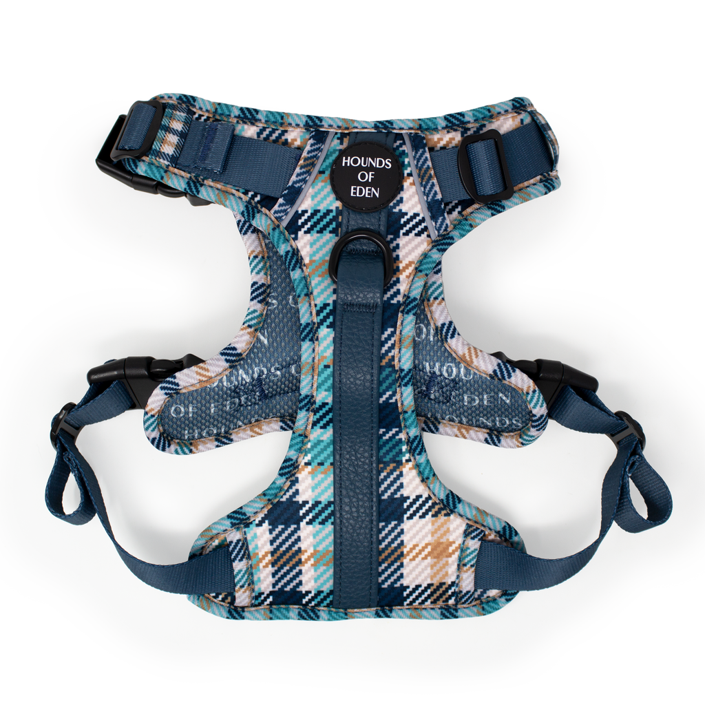 Smart Dog Supaw Strong Lite Harness XS to XL