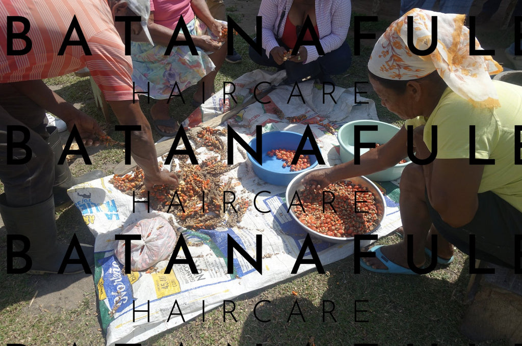 Pure Batana Oil for Hair Growth and Repair