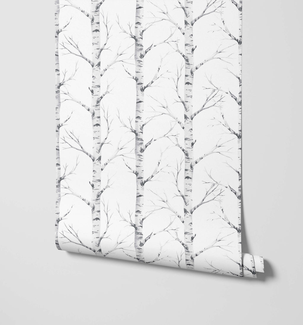 Birch Forest Wallpaper