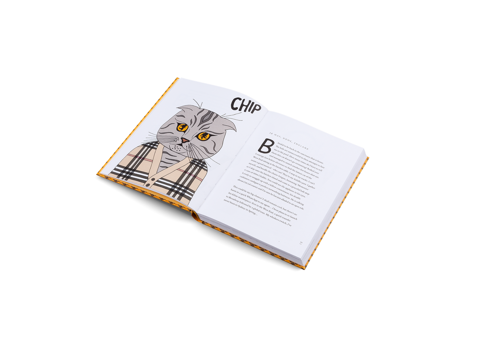 Confessions of Claudia Schiffer's Cat