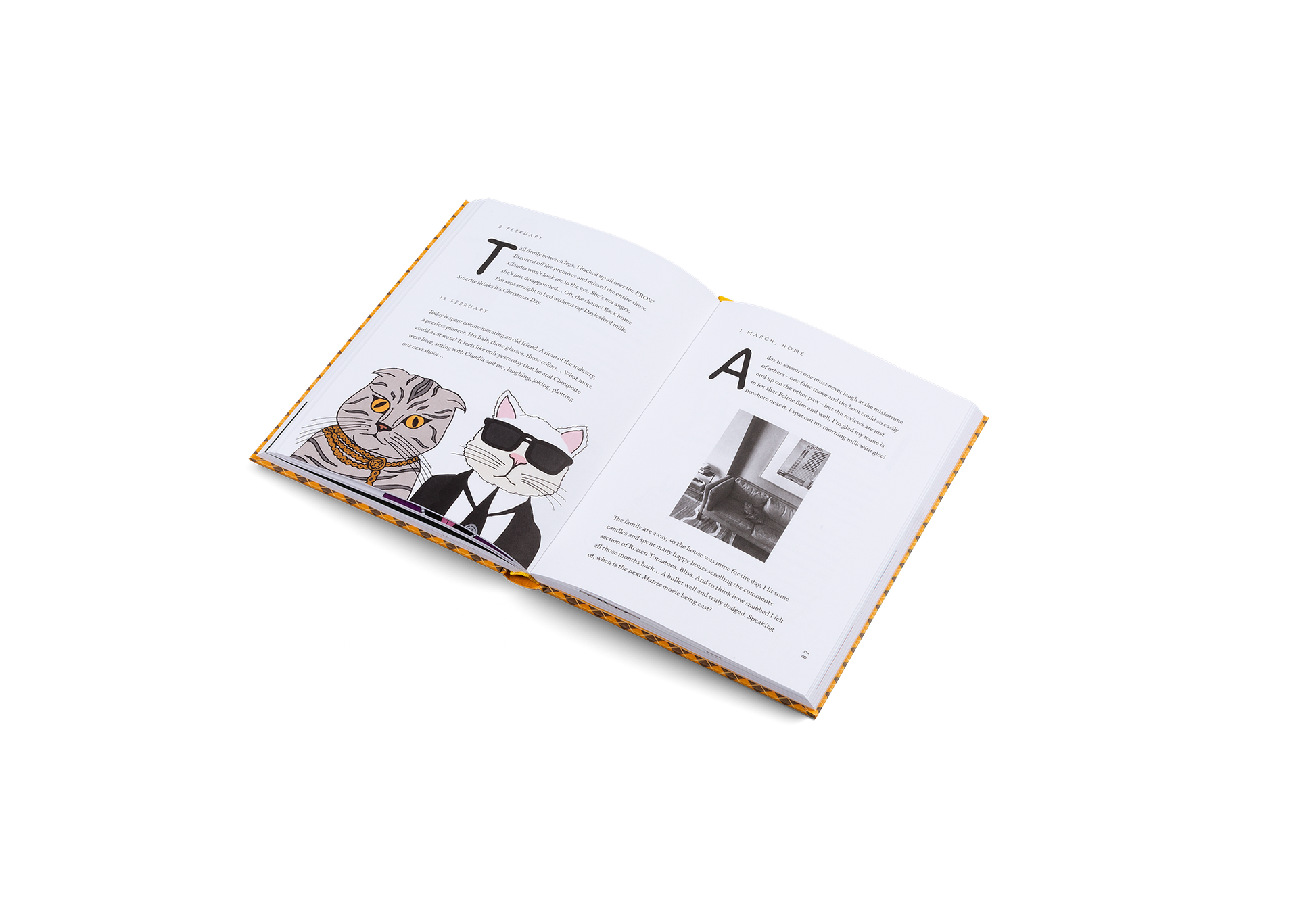 Confessions of Claudia Schiffer's Cat