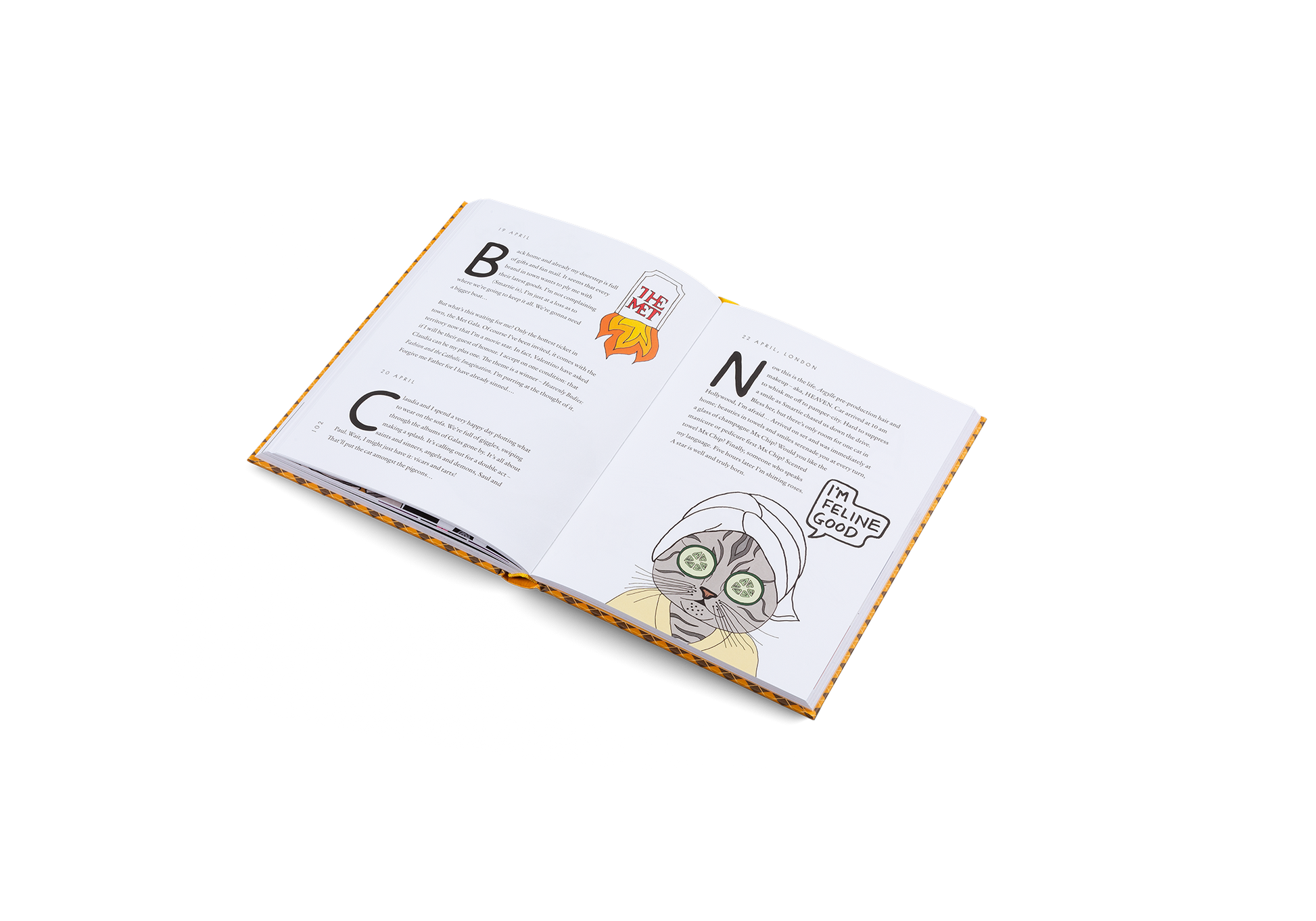 Confessions of Claudia Schiffer's Cat