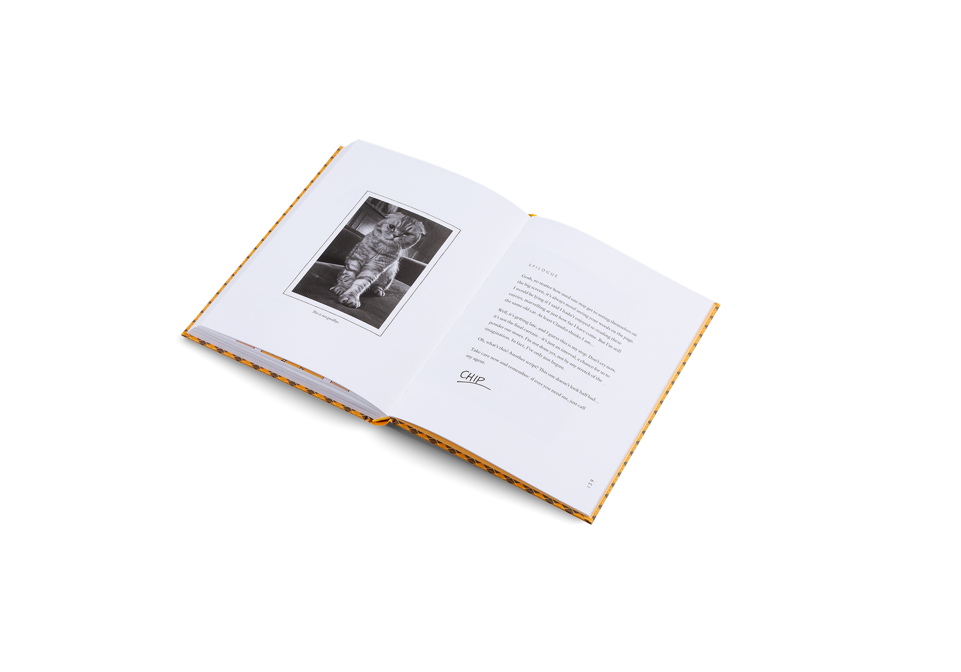 Confessions of Claudia Schiffer's Cat