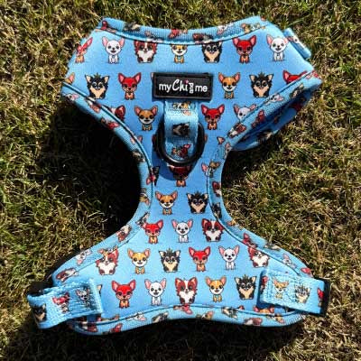 Blue Chihuahua Print Small Dog Harness with Exclusive Character Design