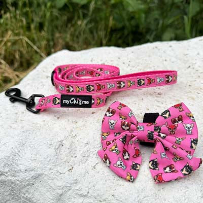 Signature Pink Sailor Bow for Chihuahuas and Small Dogs