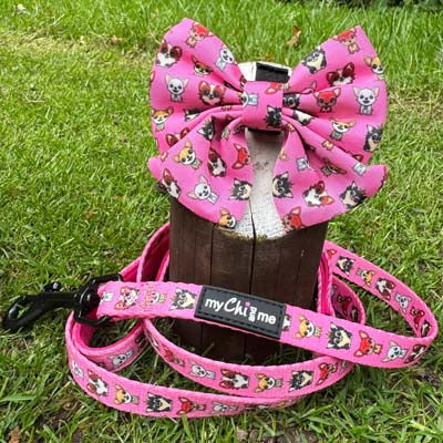 Signature Pink Sailor Bow for Chihuahuas and Small Dogs