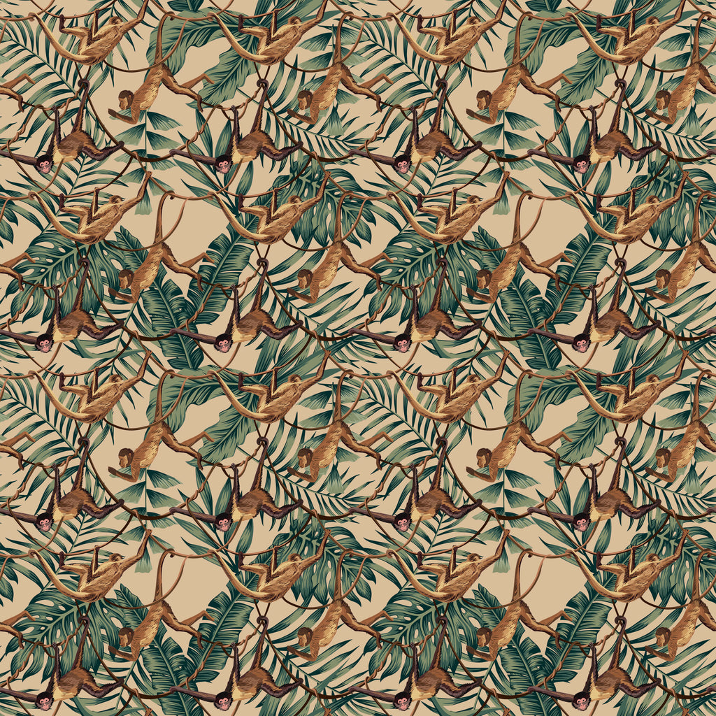 Bradley Monkey Wallpaper