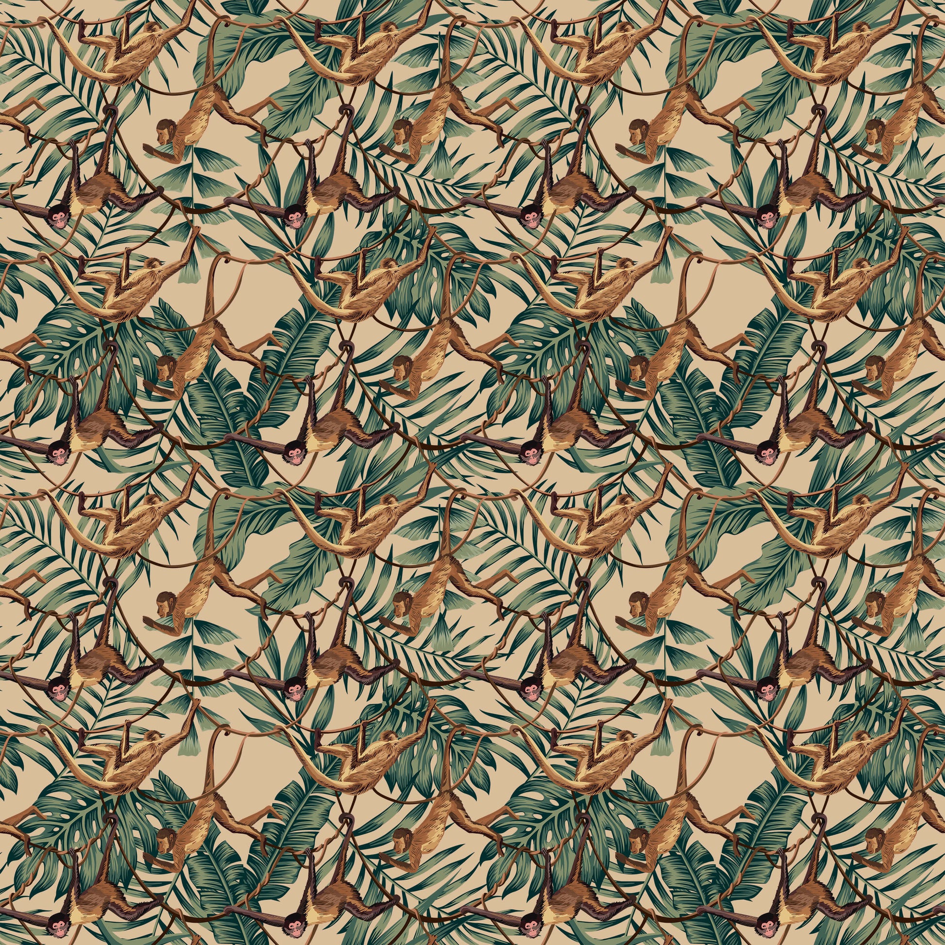 Bradley Monkey Wallpaper