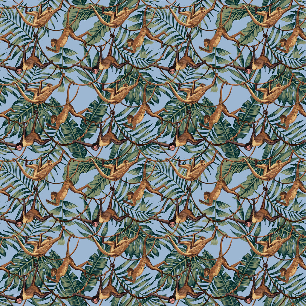 Bradley Monkey Wallpaper