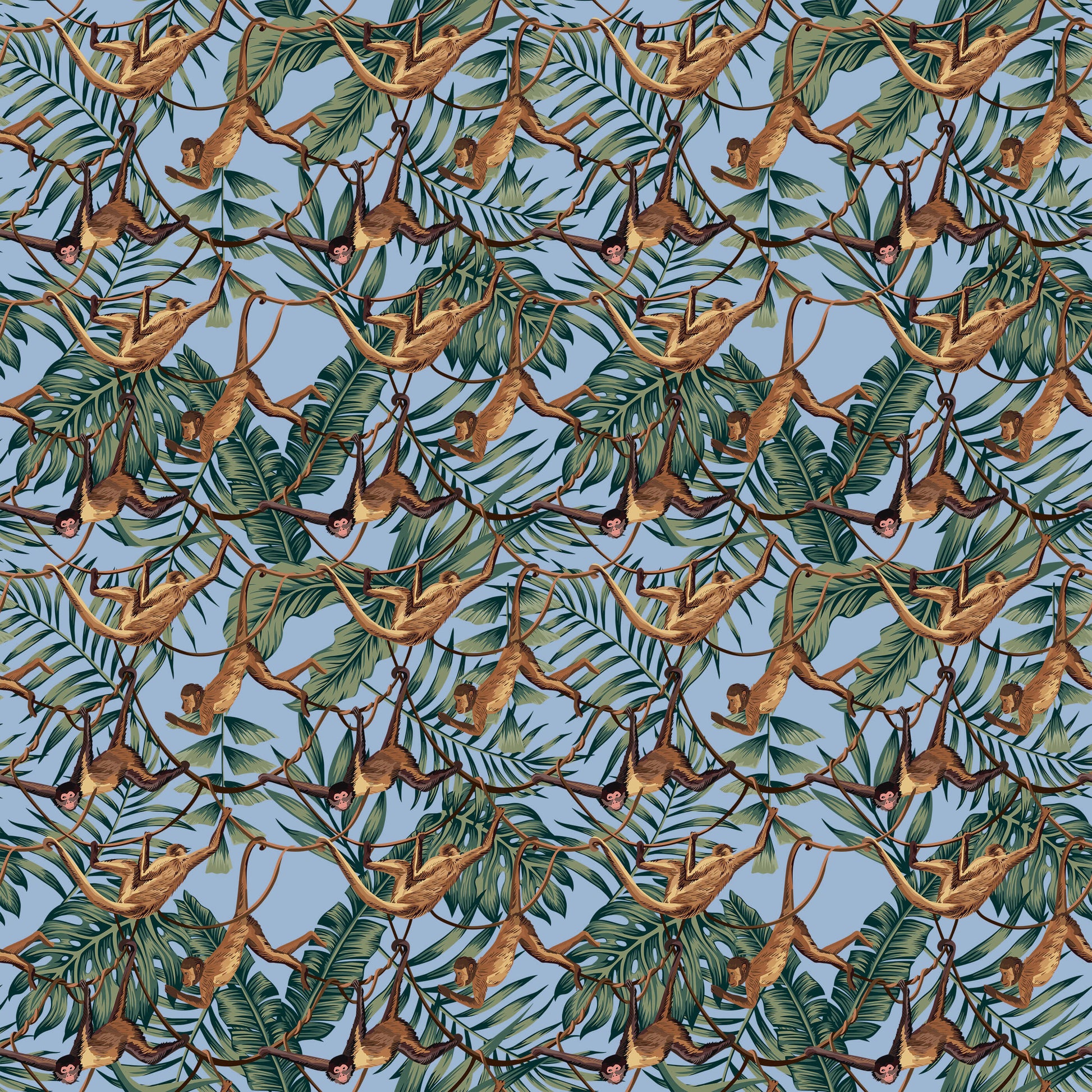 Bradley Monkey Wallpaper