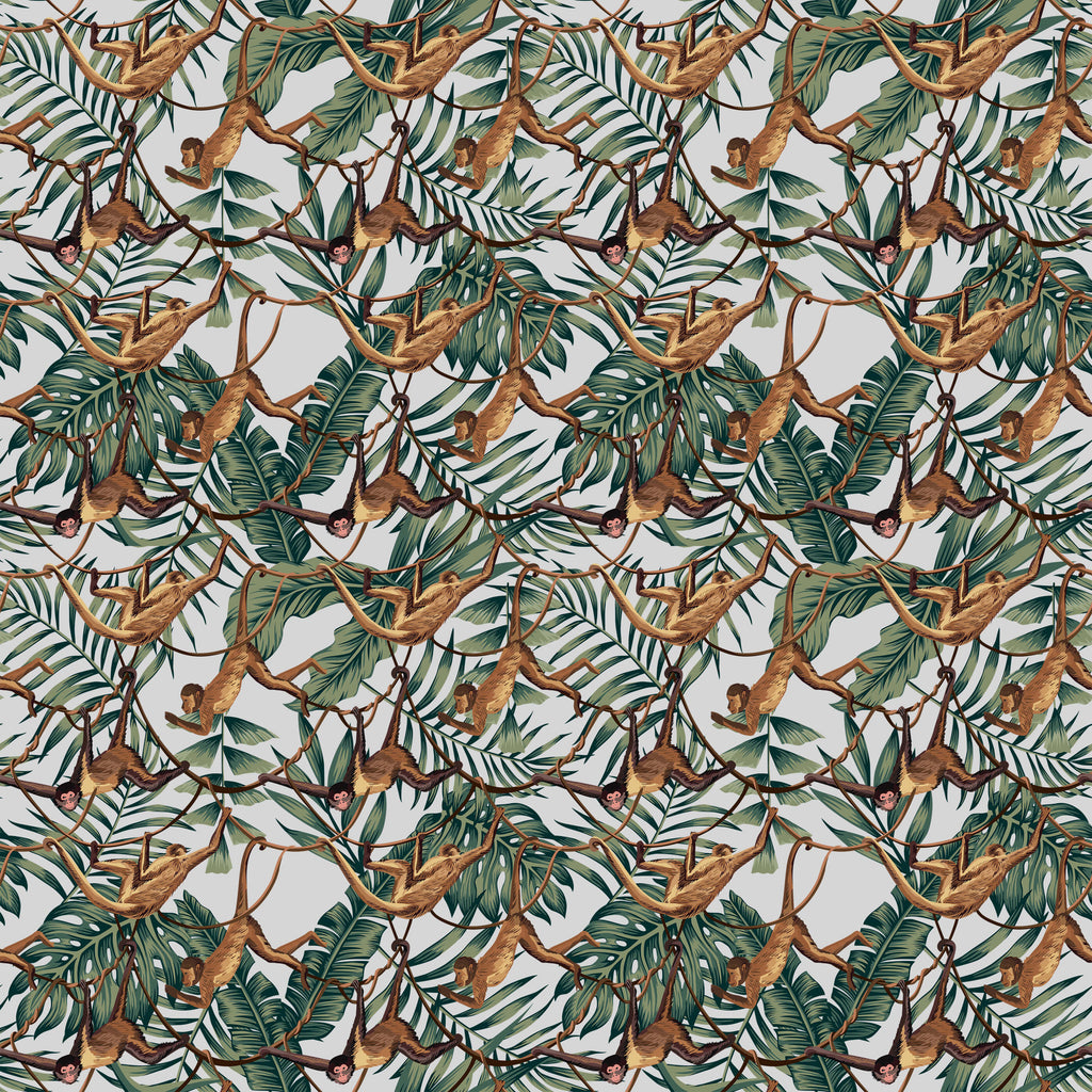 Bradley Monkey Wallpaper