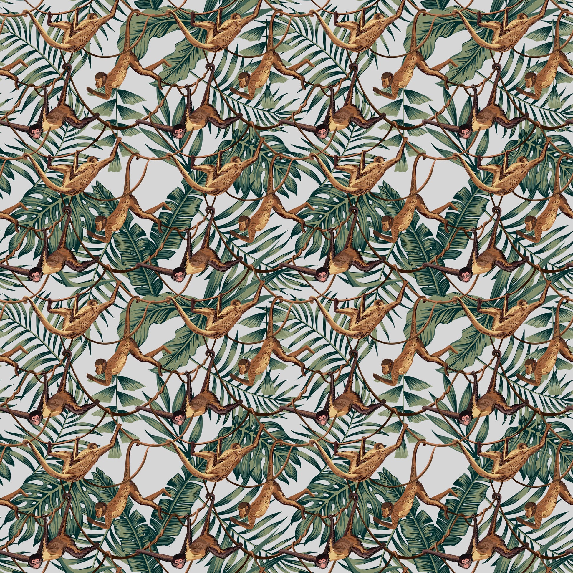 Bradley Monkey Wallpaper